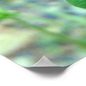 Red Clover Blossom 3 Poster (Ecke)