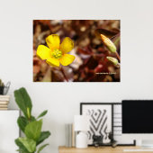 Red Clover Blume Poster (Heimbüro)