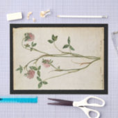 Red Clover von Jacques de Morgues Seidenpapier (Handwerk)