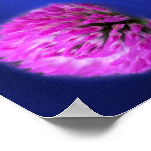 Red Clover Wildblume Abstrakt Poster (Ecke)