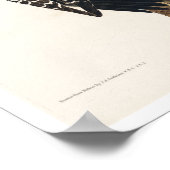 Red Cockaded Woodpecker von Audubon Poster (Ecke)