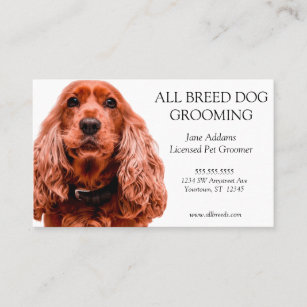 Red Cocker Spaniel Dog Grooming Pet Services Visitenkarte