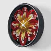 Red Collarette Dahlia auf der schwarzen Flora Uhr (Winkel)