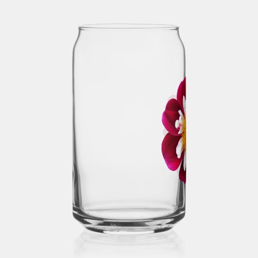 Red Collarette Dahlia Bloom Dosenglas (Rechts)