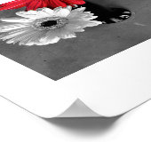 Red Color Splash Gerber Daisy Fotografie Poster (Ecke)