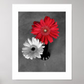 Red Color Splash Gerber Daisy Fotografie Poster (Vorne)