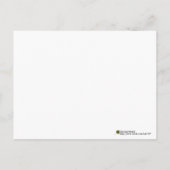 Red Color Splash Gerber Daisy Fotografie Postkarte (Rückseite)