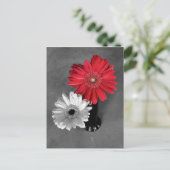 Red Color Splash Gerber Daisy Fotografie Postkarte (Stehend Vorderseite)