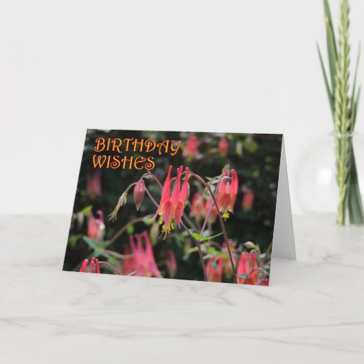 Red Columbine Birthday Karte (Vorderseite)