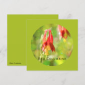 Red Columbine Blume auf Atlantis Green Flat Card (Vorne/Hinten)