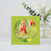 Red Columbine Blume auf Atlantis Green Flat Card (Stehend Vorderseite)