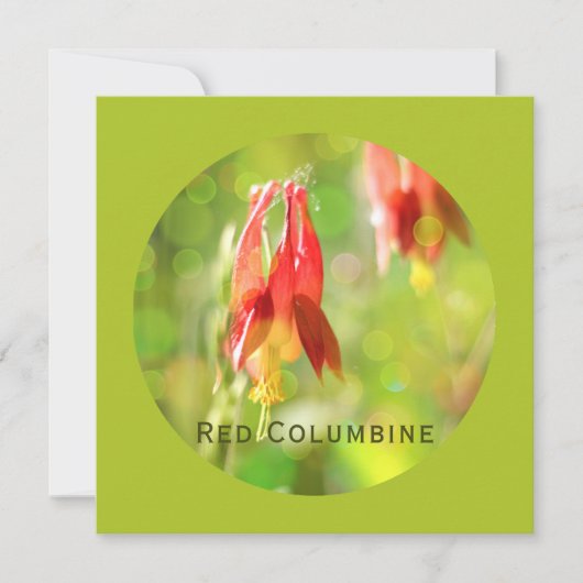 Red Columbine Blume auf Atlantis Green Flat Card (Vorderseite)