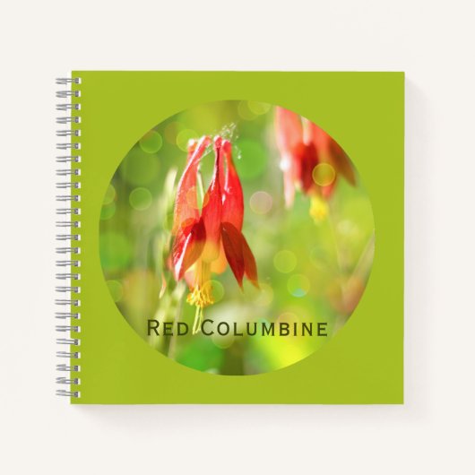 Red Columbine Blume auf Atlantis Green Notizblock (Vorderseite)