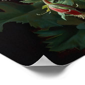 Red Columbine Blumen Art Print Poster (Ecke)