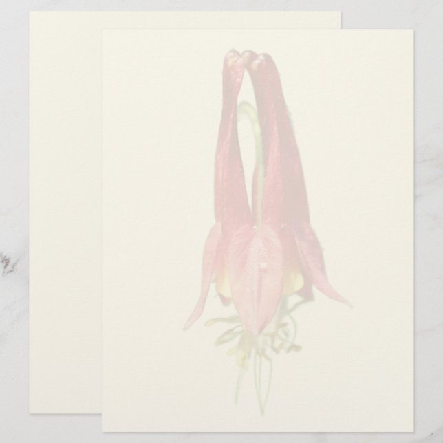 Red Columbine Flower  Briefbogen (Vorne/Hinten)