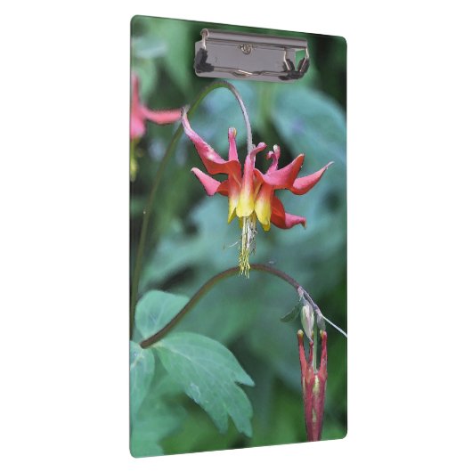 Red Columbine Klemmbrett (Rechts)