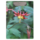 Red Columbine Klemmbrett (Vorderseite)