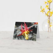 Red Columbine Note Card Karte (Gelbe Blume)