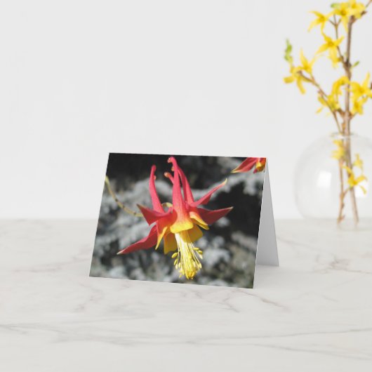 Red Columbine Note Card Karte (Gelbe Blume)
