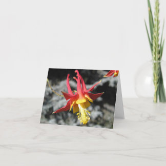 Red Columbine Note Card Karte