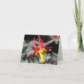 Red Columbine Note Card Karte (Vorderseite)