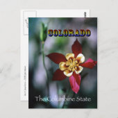 Red Columbine - Vintag Style Postkarte (Vorne/Hinten)