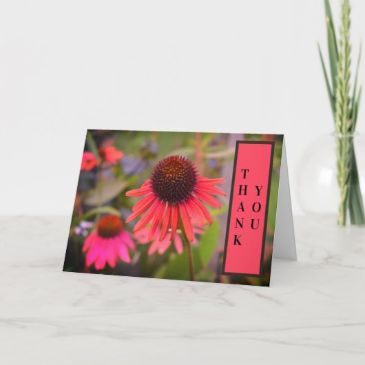 Red Cone Blume Echinacea Vielen Dank Dankeskarte (Vorderseite)