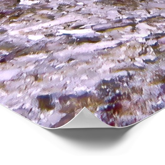 Red Coris Poster (Ecke)