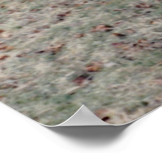 Red Covered Bridge Poster (Ecke)