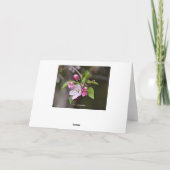 Red Crab Apple Blume Karte (Rückseite)