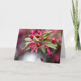 Red Crab Apple Blume Karte