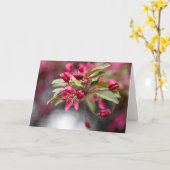 Red Crab Apple Blume Karte (Gelbe Blume)