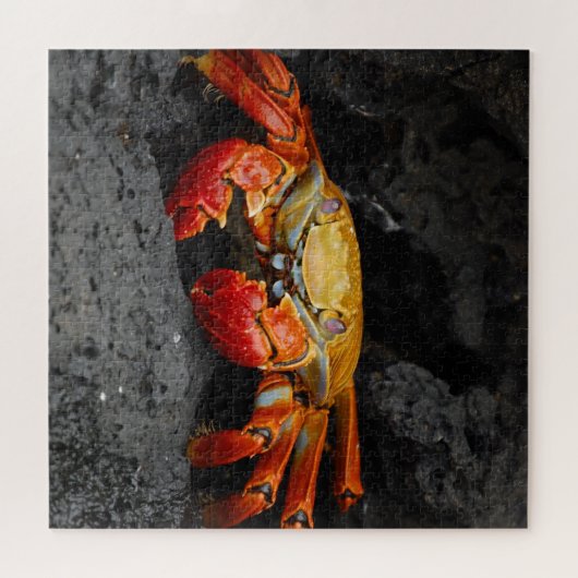 Red Crab Jigsaw Puzzle (Horizontal)