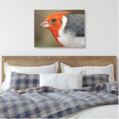 Red Created Kardinal Leinwanddruck (Insitu (Schlafzimmer))