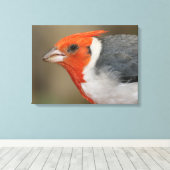 Red Created Kardinal Leinwanddruck (Insitu (Holzboden))
