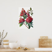 Red Crepe Myrtle Blume Art Print Poster (Küche)