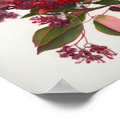 Red Crepe Myrtle Blume Art Print Poster (Ecke)