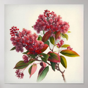 Red Crepe Myrtle Blume Art Print Poster
