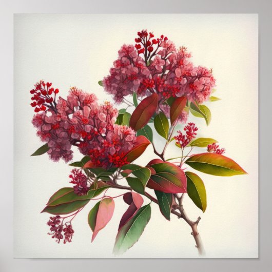 Red Crepe Myrtle Blume Art Print Poster (Vorne)