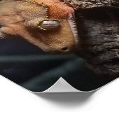 Red Crested Gecko Poster (Ecke)
