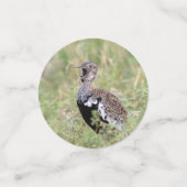 Red Crested Korhaan Konfetti (Klein Vorderseite)