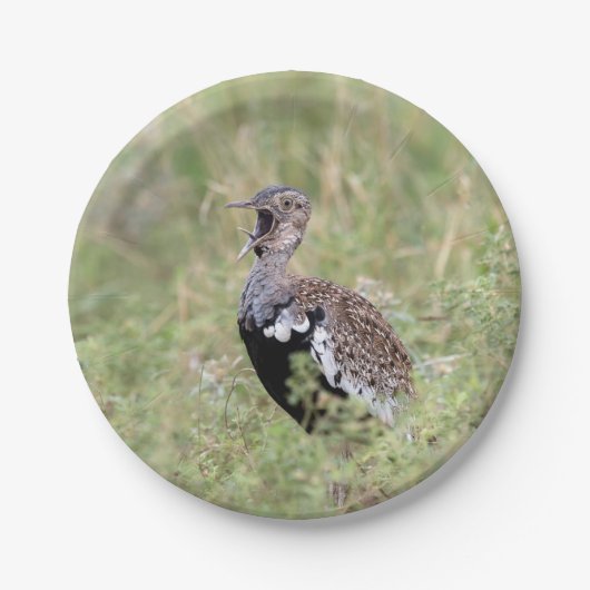 Red Crested Korhaan Pappteller (Vorderseite)