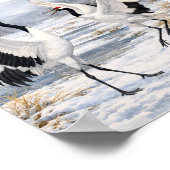 Red-crowned Cranes Dancing in Winter –  Poster (Ecke)