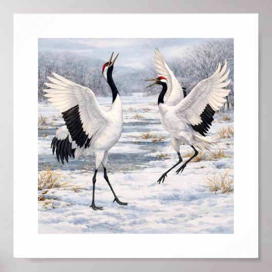 Red-crowned Cranes Dancing in Winter –  Poster (Vorne)