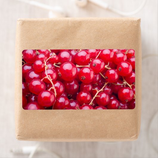 Red Currant (Insitu)