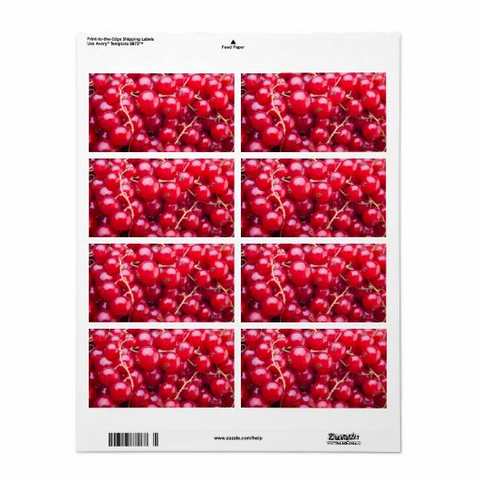 Red Currant (Vorne)