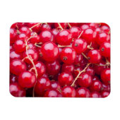 Red Currant Magnet (Horizontal)