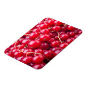 Red Currant Magnet (Linke Seite)