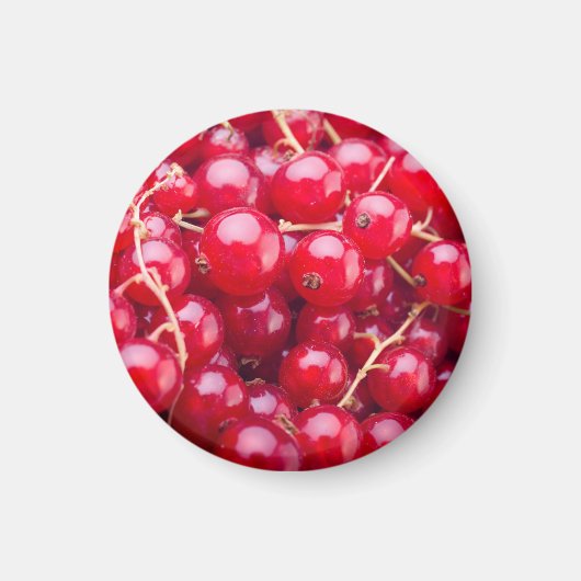 Red Currant Magnet (Vorne)