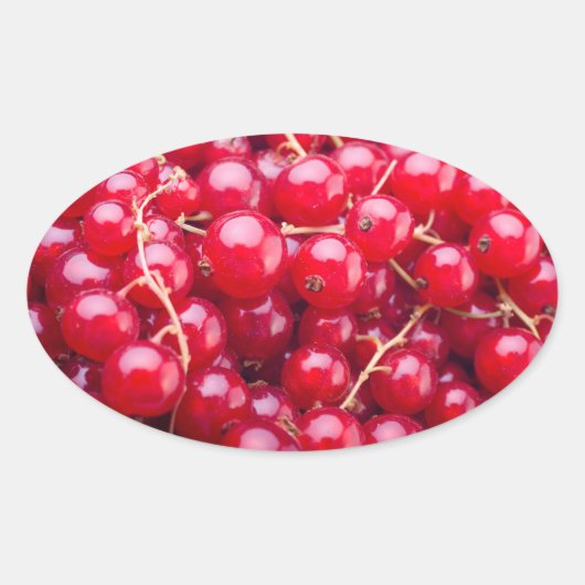 Red Currant Ovaler Aufkleber (Vorderseite)
